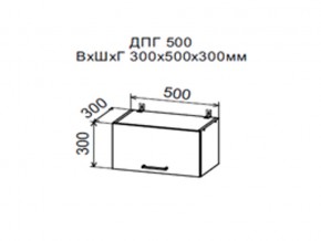 Шкаф верхний ДПГ500 горизонтальный в Лысьве - lysva.магазин96.com | фото